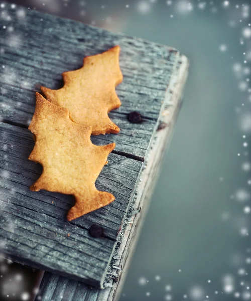 Biscoitos de abeto de Natal — Fotografia de Stock