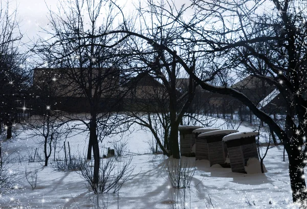 Winter dorp met houten huizen — Stockfoto