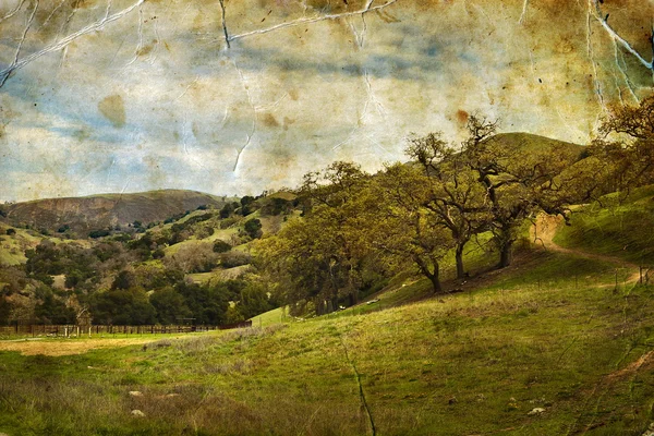 Paisagem de verão com céu nublado — Fotografia de Stock