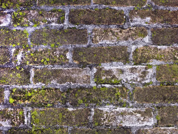 Textura de pared de ladrillo viejo — Foto de Stock