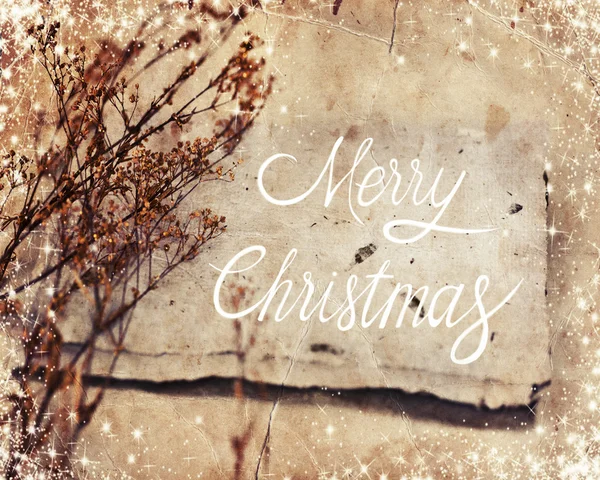 Merry Christmas holiday background — Stock Photo, Image