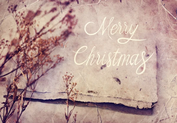 Christmas holiday card — Stock Photo, Image