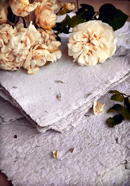 Schöner romantischer Hintergrund mit weißen Rosen — Stockfoto