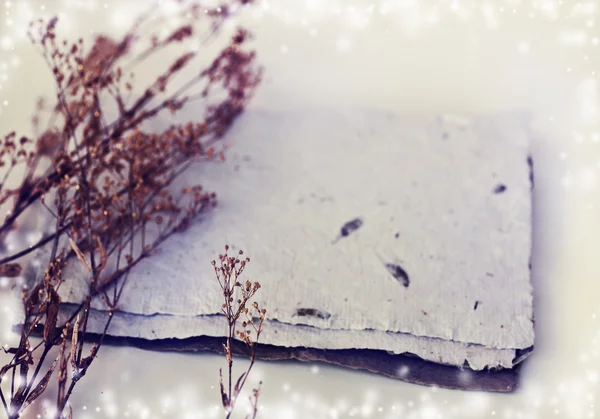 Tarjeta de navidad feliz — Foto de Stock