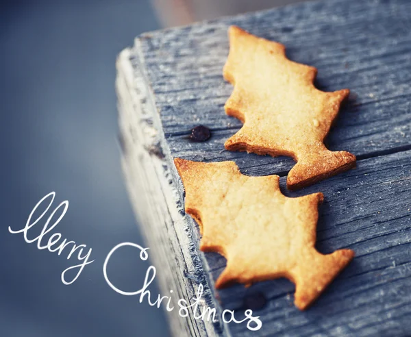 Fir tree kerstkoekjes — Stockfoto