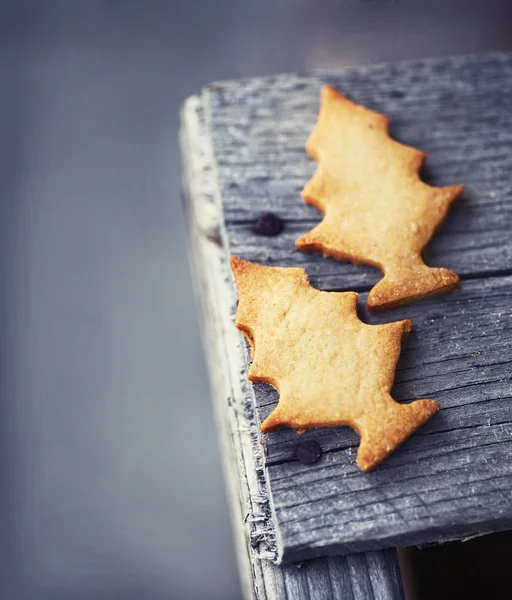 Biscuits de sapin de Noël — Photo