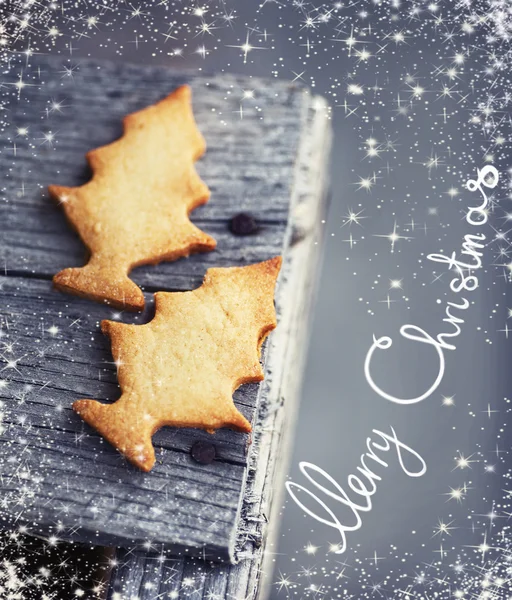 Christmas fir tree cookies — Stock Photo, Image