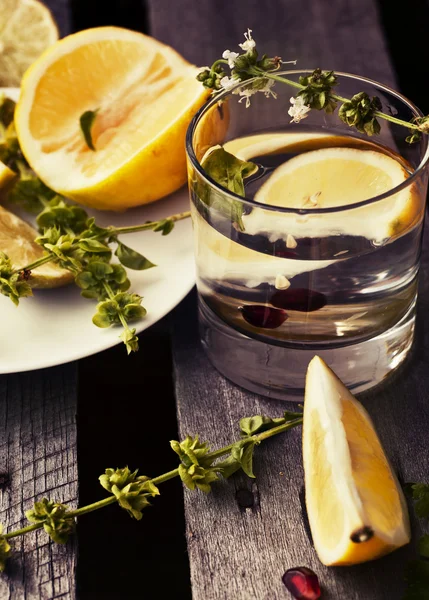 Lemon slices with water in glass — Stock Photo, Image