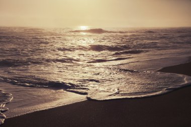 Güzel sahil ve tropikal deniz