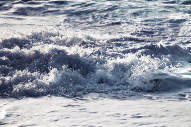 Güzel sahil ve tropikal deniz