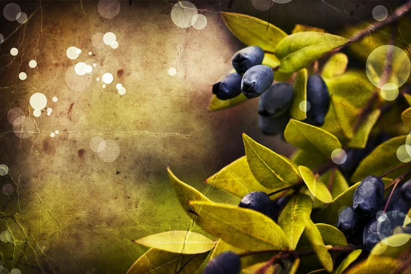 Juicy Blueberries — Stock Photo, Image