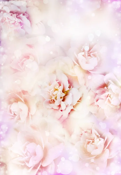 Çiçek çiçek kartı — Stok fotoğraf
