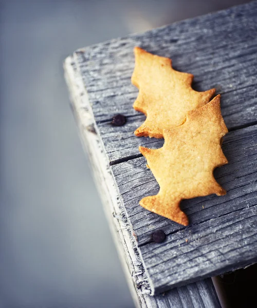 Biscuits de sapin de Noël — Photo