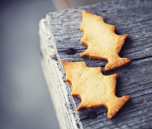 クリスマスもみの木クッキー — ストック写真