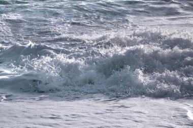 Güzel sahil ve tropikal deniz