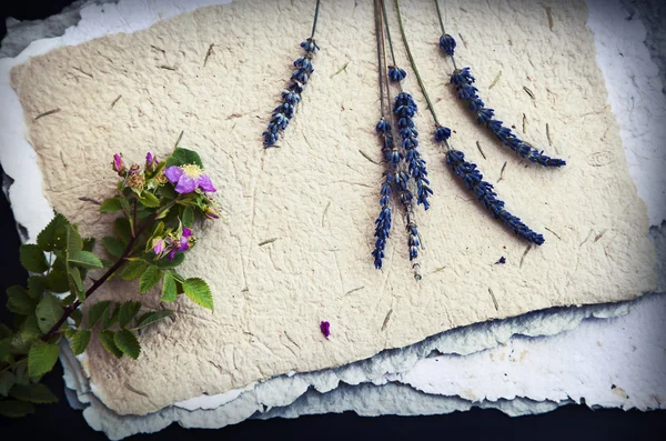 Papeles viejos con flores de lavanda — Foto de Stock