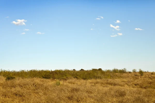 Nature landscape — Stock Photo, Image