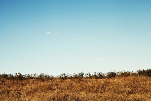 Nature landscape — Stock Photo, Image