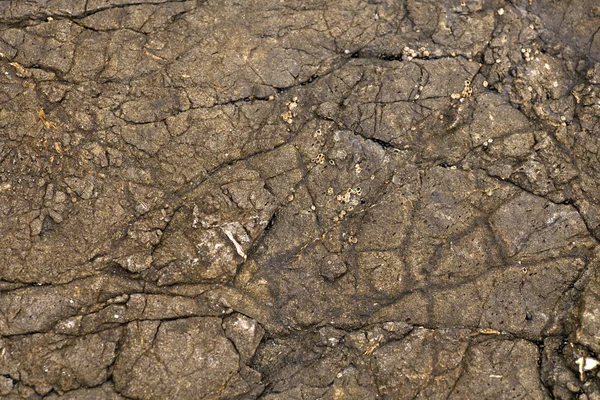 Brown stone texture background — Stock Photo, Image