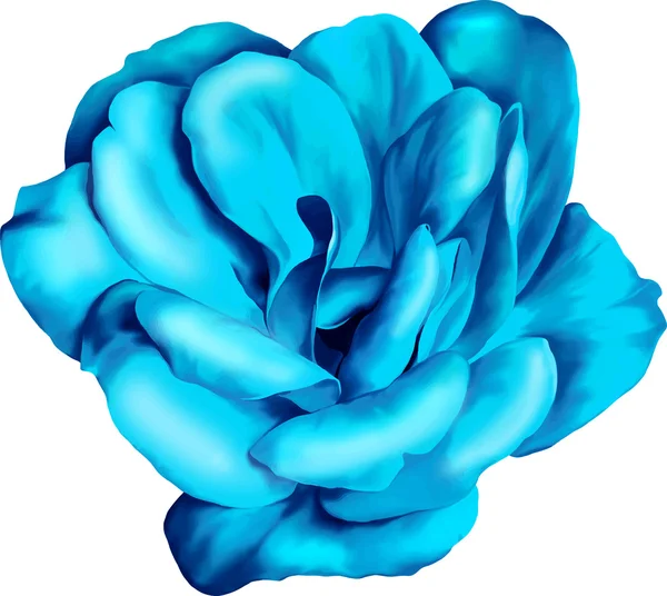 Blue rose flower — Stock Vector