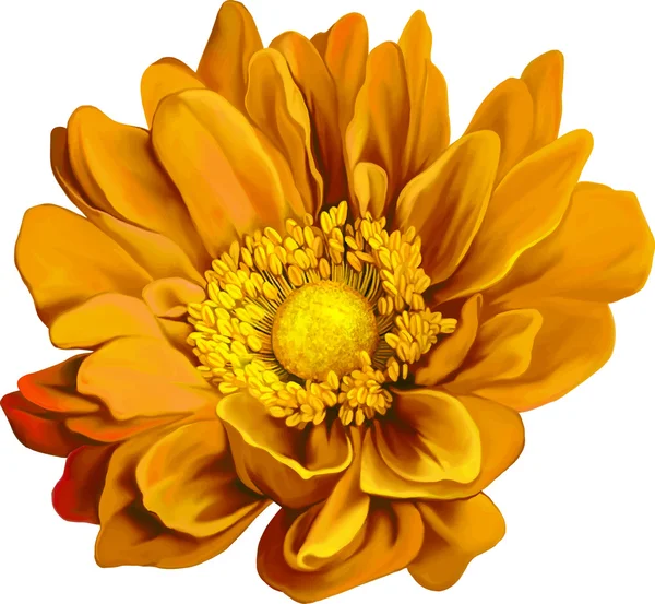 Çok güzel parlak turuncu çiçek — Stok Vektör