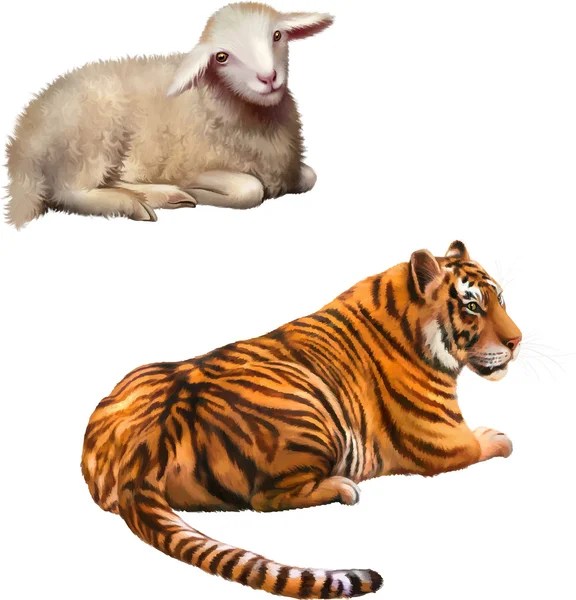Tigre e pecora del Bengala — Vettoriale Stock