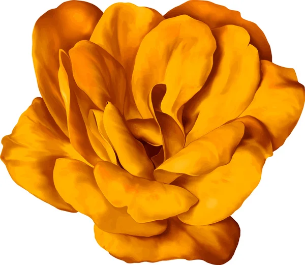 Fleur rose jaune — Image vectorielle