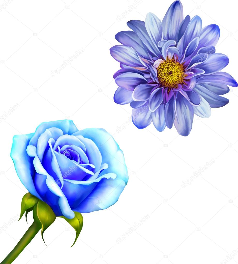 Mona Lisa flower and Blue Rose