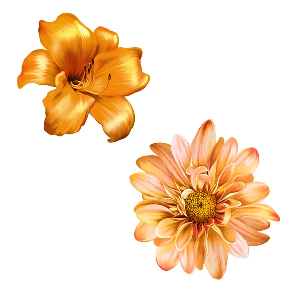 Желтая лилия и ярко-оранжевый цветок — стоковое фото