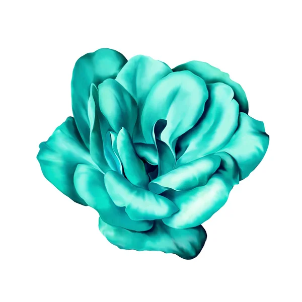 ターコイズ ブルーの花のつぼみ — ストック写真