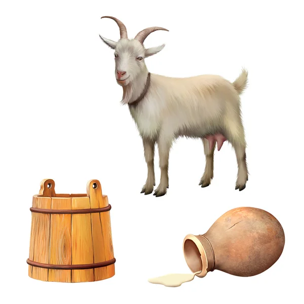 Cabra de pie aislada sobre fondo blanco, jarra con leche derramada, cubo de madera, utensilios retro — Foto de Stock