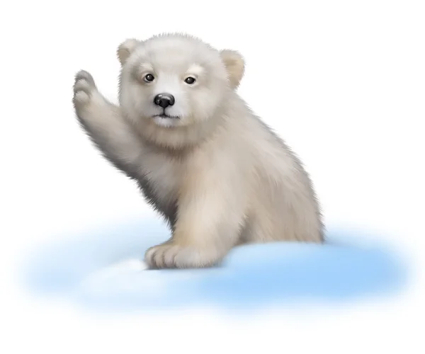 Portrait of a polar bear baby climbing out of a snow pile — Stock Photo, Image