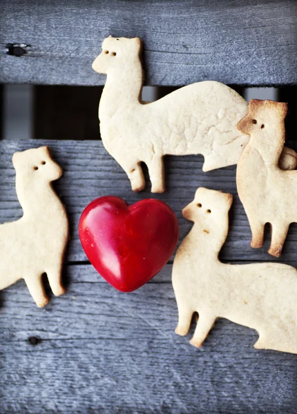 Biscotti di zucchero e cuore — Foto Stock