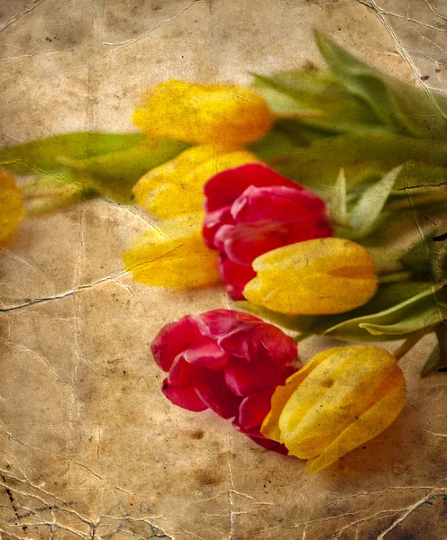 Valentine tulipány pozadí — Stock fotografie