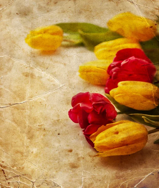 San Valentín tulipanes fondo — Foto de Stock