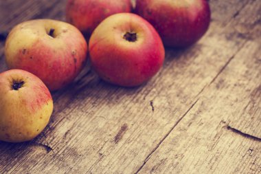 Masada sonbahar elma