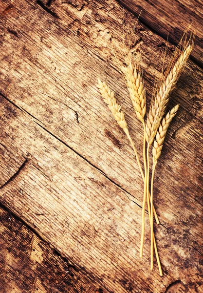 Колоски пшениці на столі — стокове фото