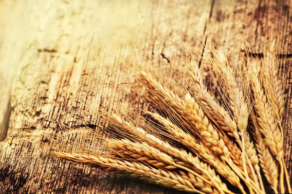 Espiguillas de trigo en la mesa — Foto de Stock