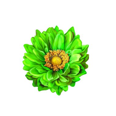 Yeşil Mona Lisa çiçek