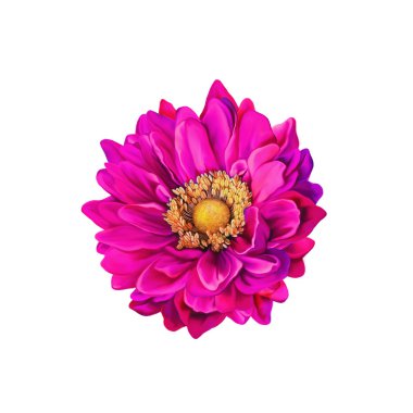 Pembe Mona Lisa çiçek