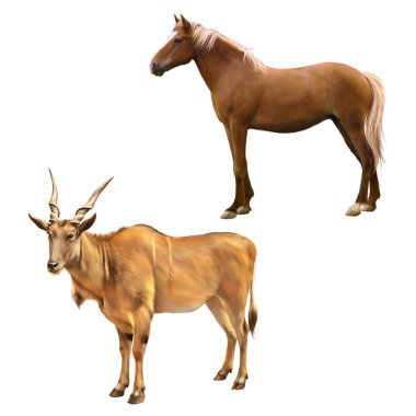 african antelope and horse clipart