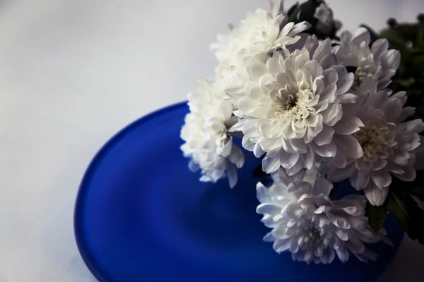 White Flowers on blue plate — Stock Photo, Image