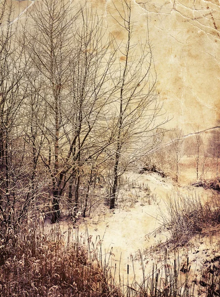 Winter nature landscape — Stock Photo, Image