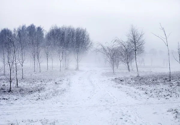 Naturen vinterlandskap — Stockfoto