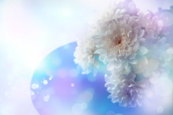 Witte bloemen op blauw bord — Stockfoto