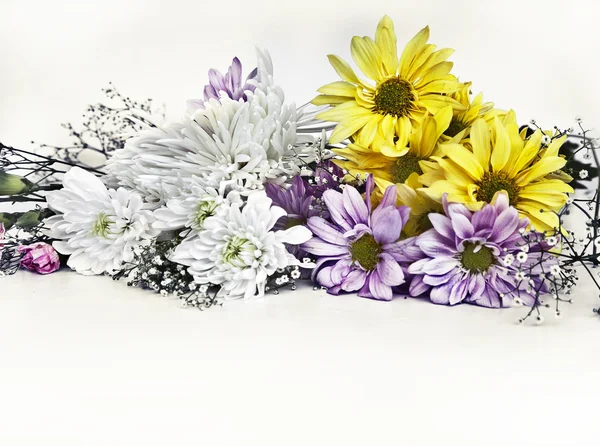Background with chamomile and chrysanthemum — Stock Photo, Image