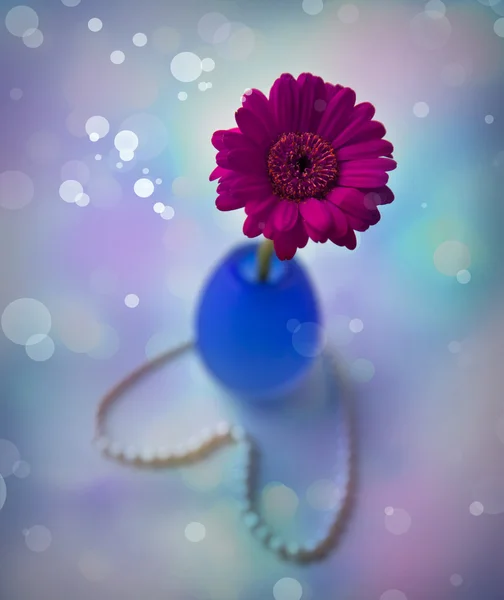 Mona Lisa flower with heart — Stock Photo, Image