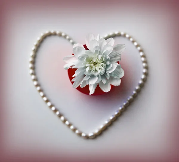 Latar Belakang Valentine Heart — Stok Foto