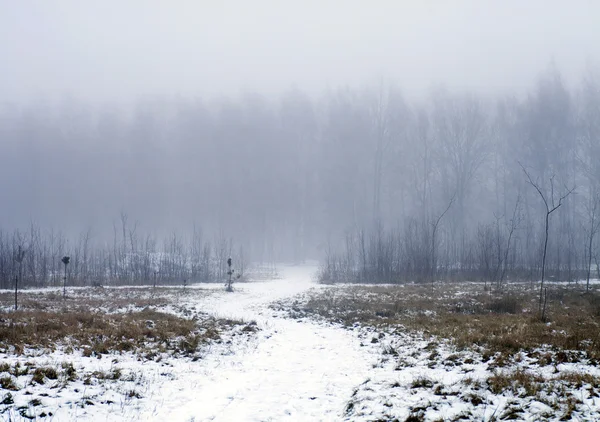 's avonds winterlandschap — Stockfoto