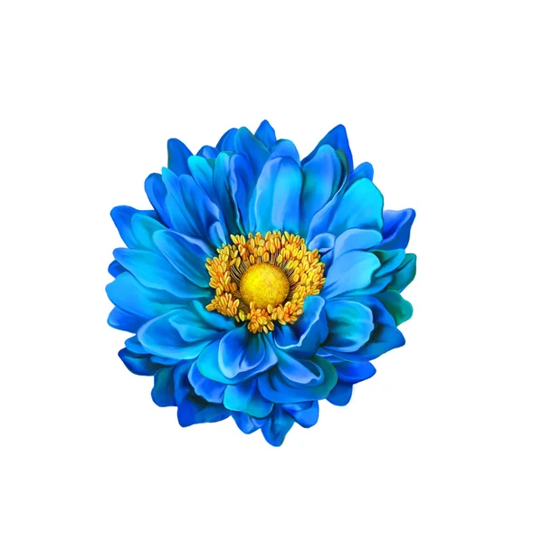 Blauwe bloem van de Mona Lisa — Stockfoto